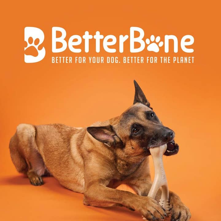BetterBone - Wholesale Pet Chew Toy - Dog - BetterBone Dog Chew Toy Chew Bone - Large Hard Classic1