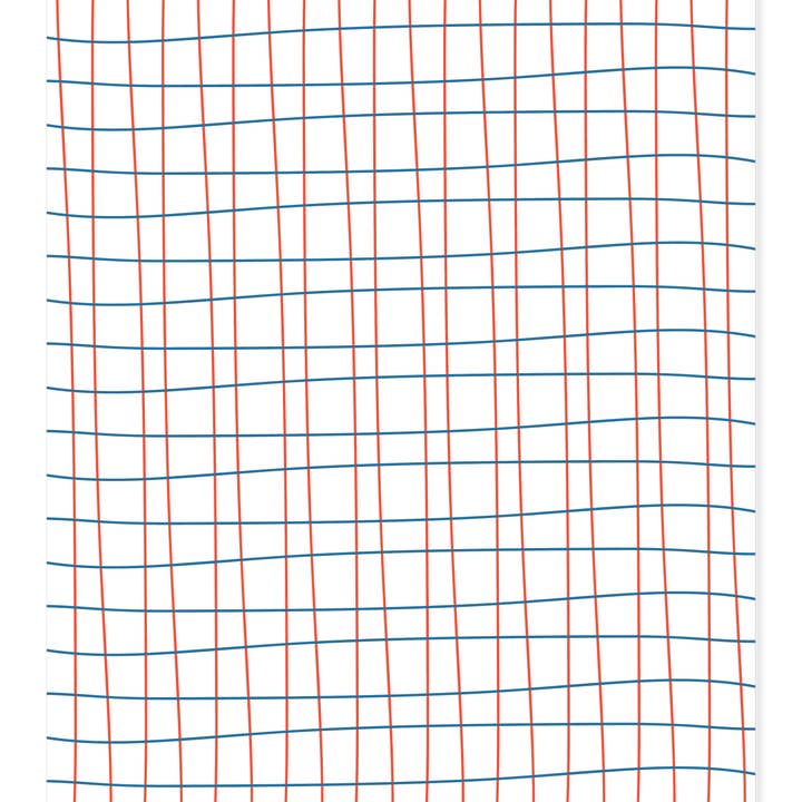 Ramus & Co. - Wholesale Wrapping Paper Roll - Ski Toile Gift Wrap Double-Sided2