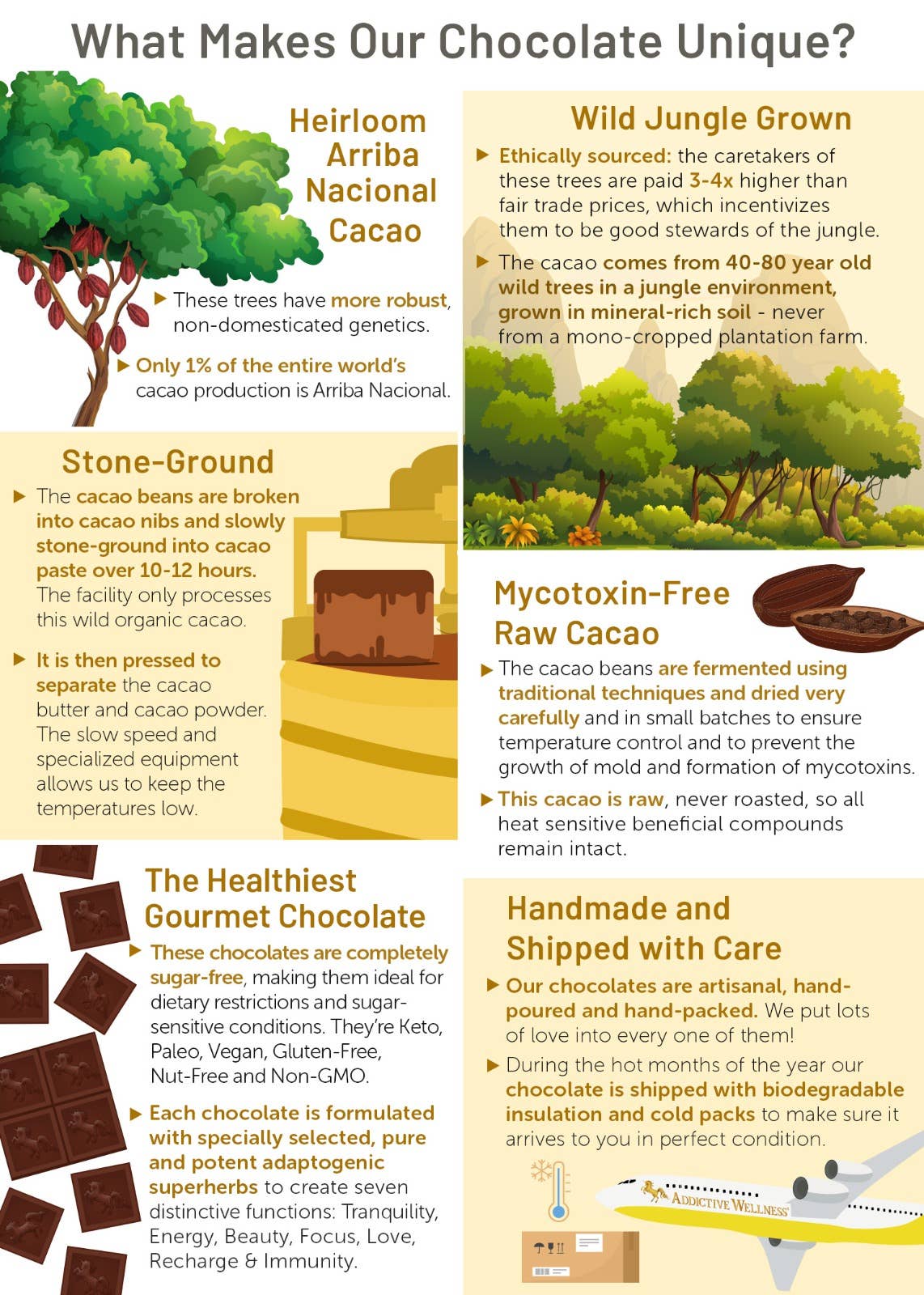 Addictive Wellness - Wholesale Chocolate Bar - Immunity Chocolate | Wildcrafted Mushroom Infused Cacao3