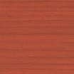 Recolor - Wholesale Varnish - Neutral wood stain11