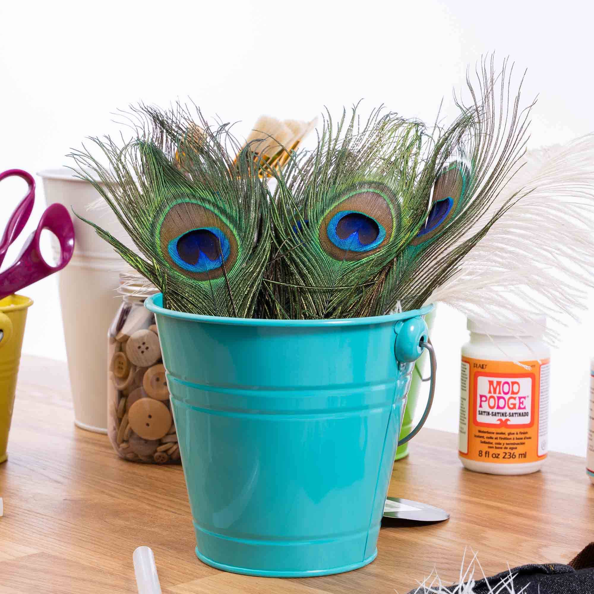 Portofino International Trading, USA - Wholesale Feathers - 30" Peacock Feathers 12pc/bag1