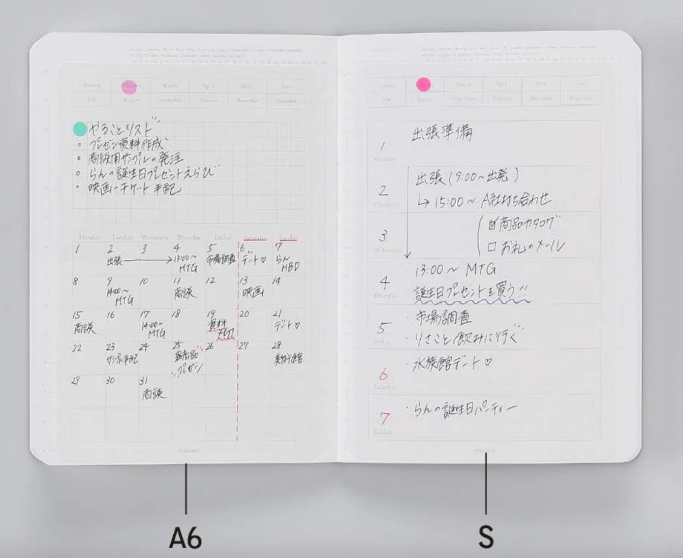 Paper Poetry Club - Vendita all'ingrosso Adesivo - Adesivo per calendario Stalogy Peel and Stick2