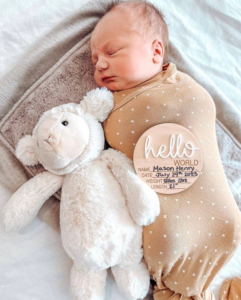 Claire and Bella - Wholesale Milestone Art/Keepsake - Kids & Baby - Hello World Birth Stat Announcement Wood Disc - Layered 3D17