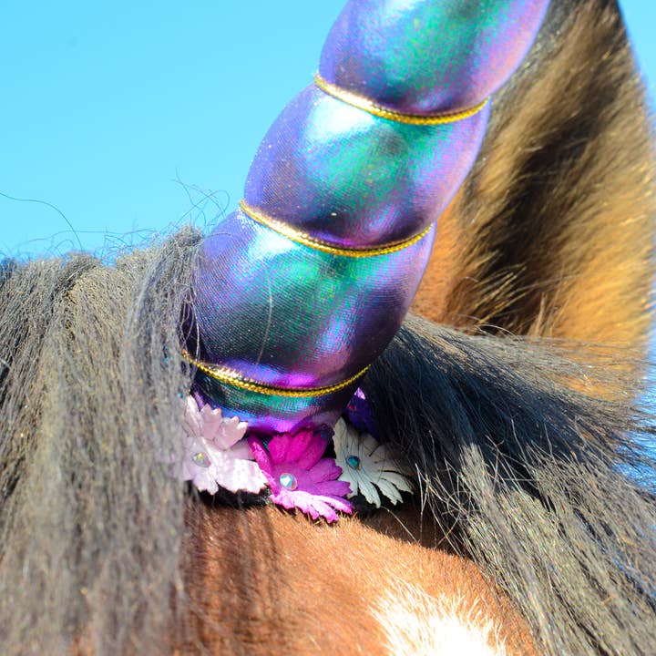 Circus Unicorn Shop - Venta al por mayor Disfraz - Gatos y perros - Cuerno de unicornio para caballo2