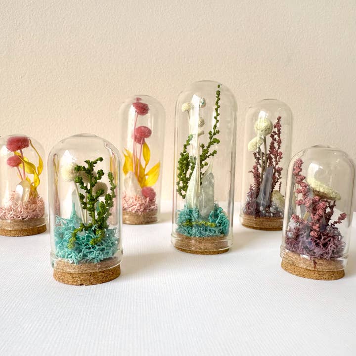 CA Studios - Wholesale Terrarium - Crystal Fairy Garden Mix Mini Glass Cloche Terrariums