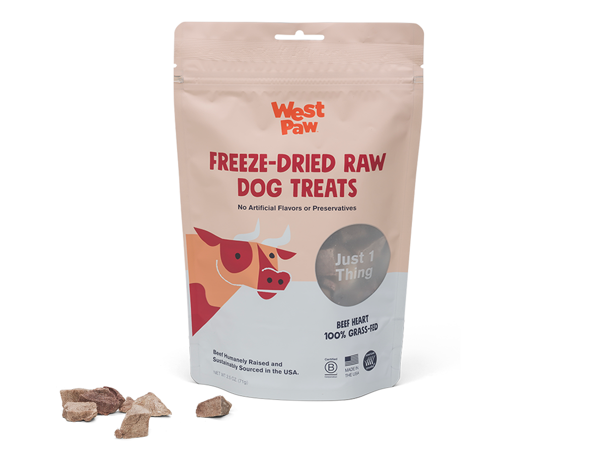 Purchase Wholesale freeze dried dog treats. Free Returns Net 60