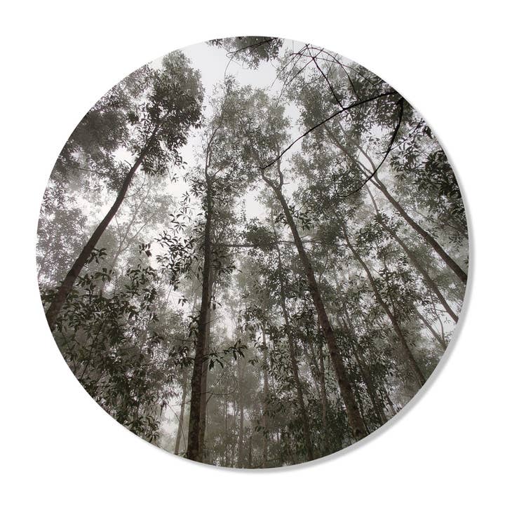 Círculo de pared forestal para venta al por mayor de GM decoratie