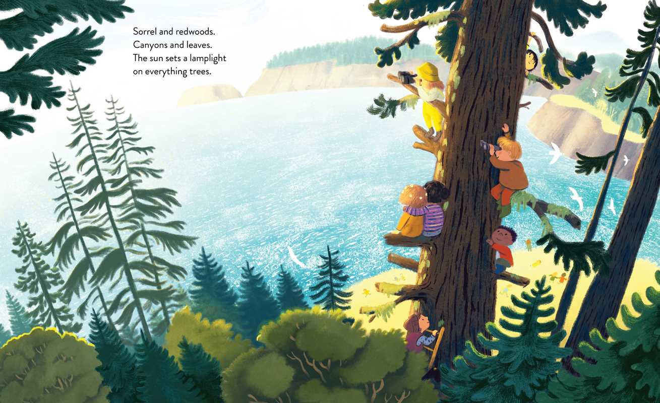 Simon & Schuster - Wholesale Preschool Book (3-5) - Everything Trail by Meg Fleming4