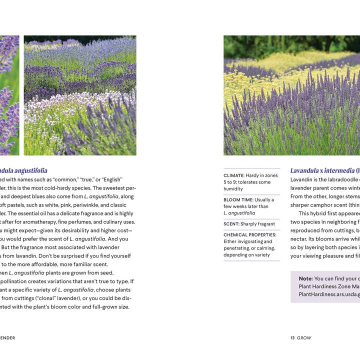 Blue Star Press - Wholesale Body, Mind & Spirit - Lavender: 50 Self-Care Recipes and Projects for Wellness2