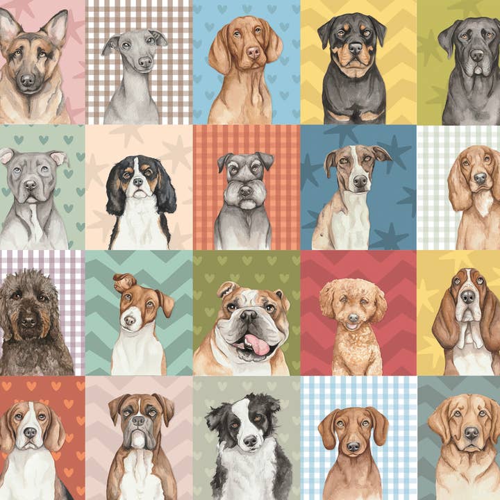 120 Everyday Blank Dog greeting cards with Table Top Spinner for wholesale by lil wabbit