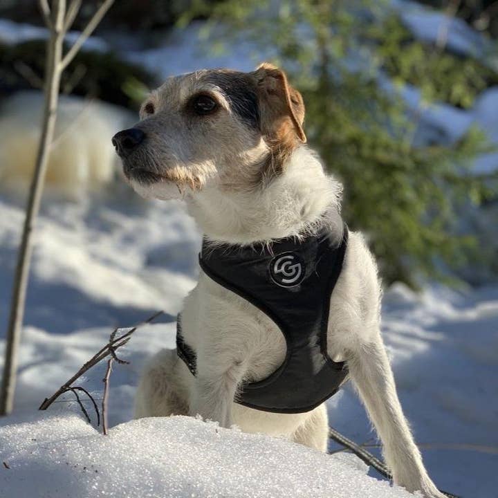 Goto-sportwear - Wholesale Pet Harness - Dog - GOTO2 for Hiking8