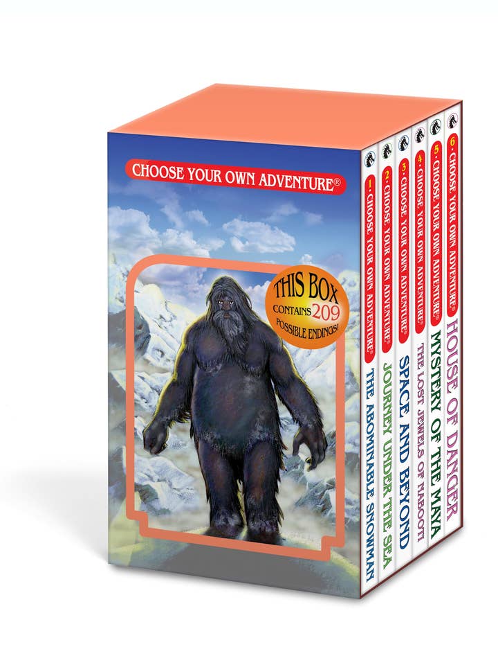 6 Book Boxed Set #1, Children's Books for wholesale by Choose Your Own Adventure
