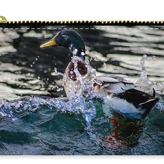 BORSELLINO CON ZIP - ZIP POUCHE "THE DUCK DIP" per la vendita all'ingrosso da parte di sorayadapuzzostore