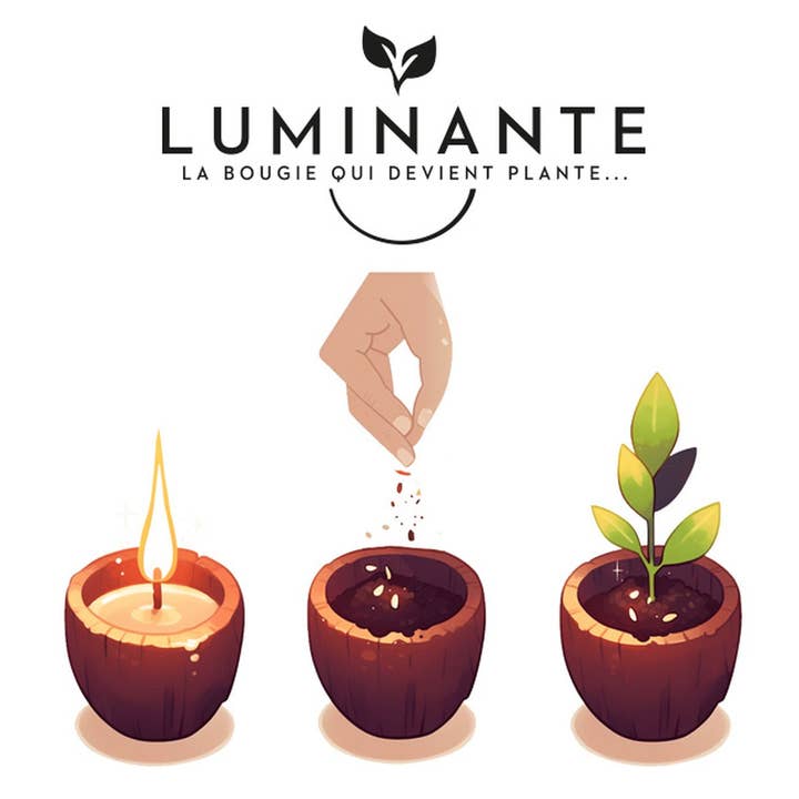 LUMINANTE - Wholesale Jar/Filled Candle - The candle that becomes a plant Oud Wood model "coco"3