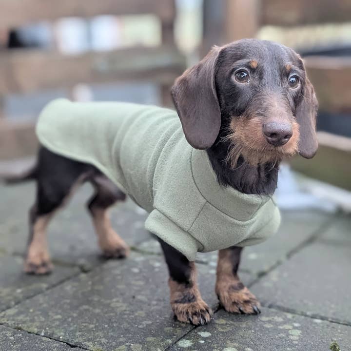 Grön bomullsfleece hundtröja för wholesale av Dachshund Couture