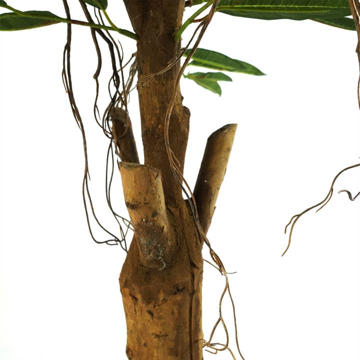 Leaf Design UK LTD - Vente Plantes artificielles - Ficus Longifolia artificiel naturel 100 cm à motif de feuilles