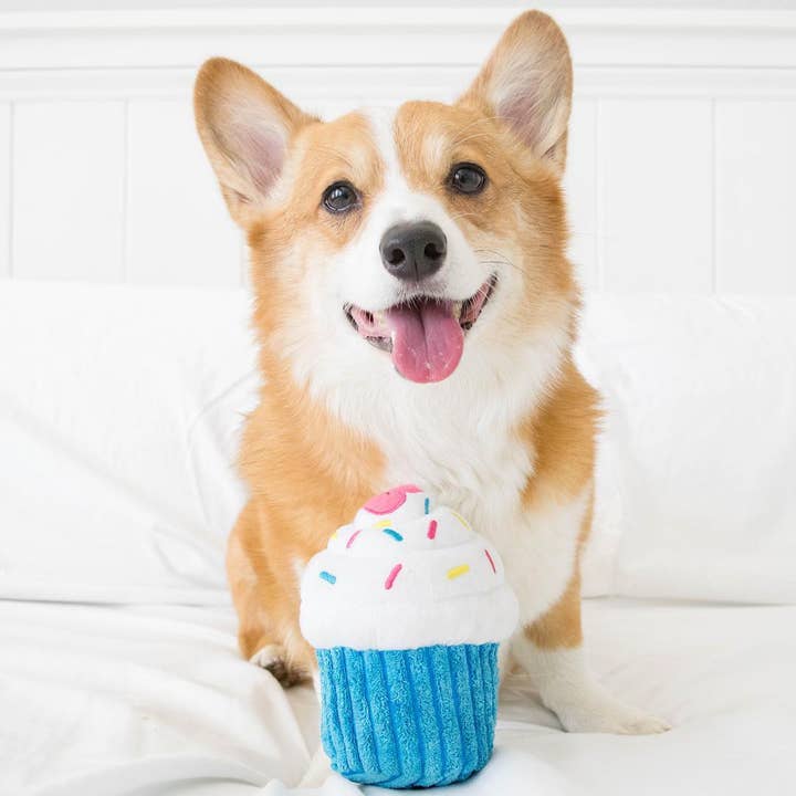 ZippyPaws - Wholesale Pet Plush Toy - Dog - Cupcake - Blue - Dog Toy