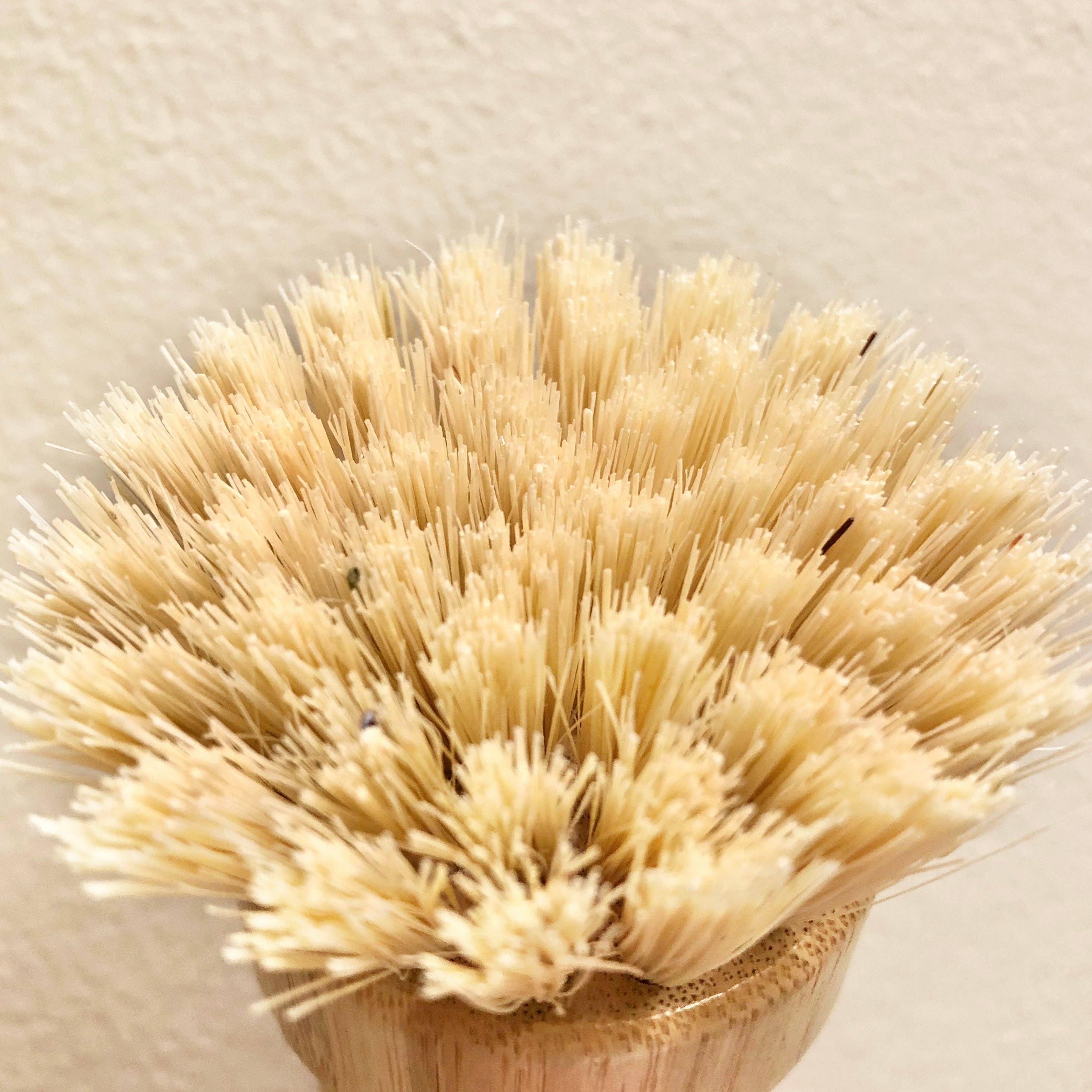 Eco Beige – wholesale Cleaning brush – Bamboo Knob Scrubber3