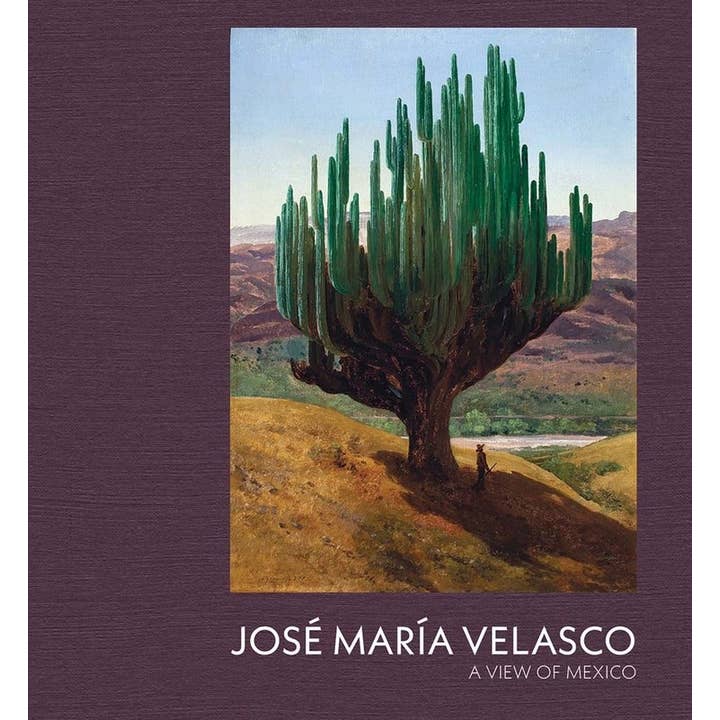 Jose Maria Velasco: A View of Mexico for wholesale by W. W. Norton