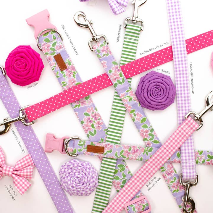 Puddle Jumper Pups - Wholesale Pet Collar - Dog - The Dee2