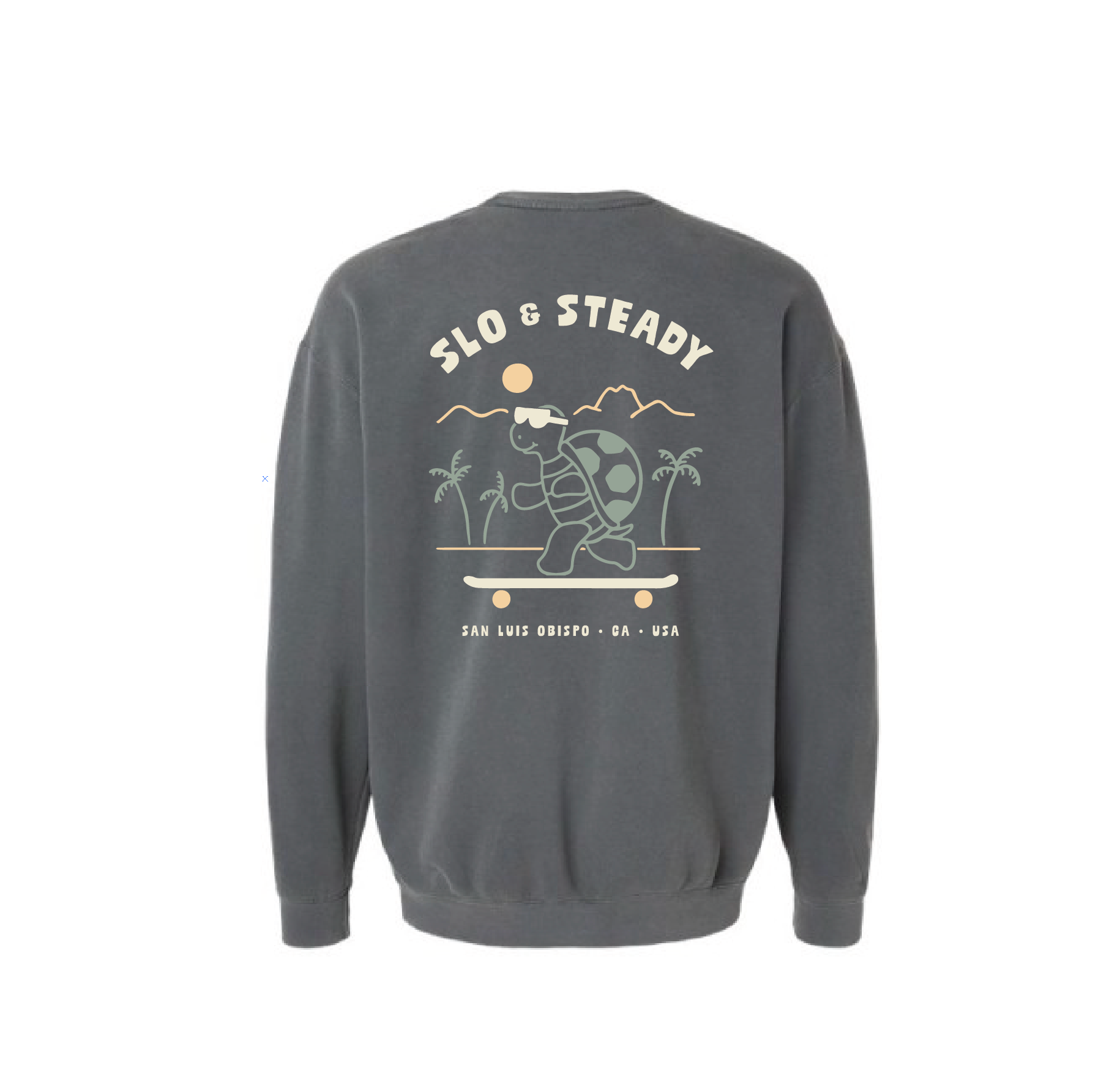 AnglinMade - Wholesale Graphic Sweatshirt - Unisex - Slo & Steady Turtle Sweatshirt0