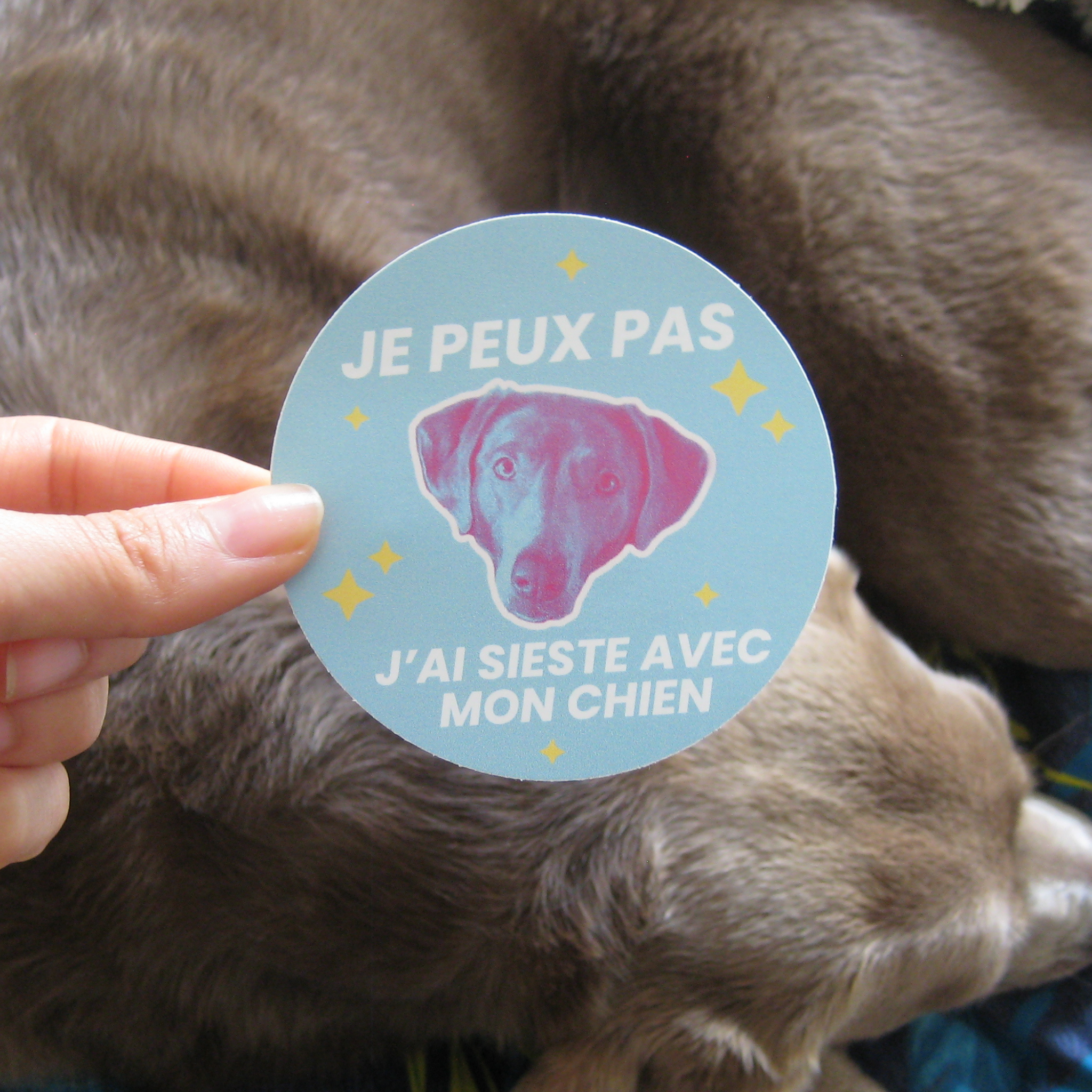 SUPERNOVA & CO - Wholesale Sticker - Humorous Dog Sticker: I Nap With My Dog0