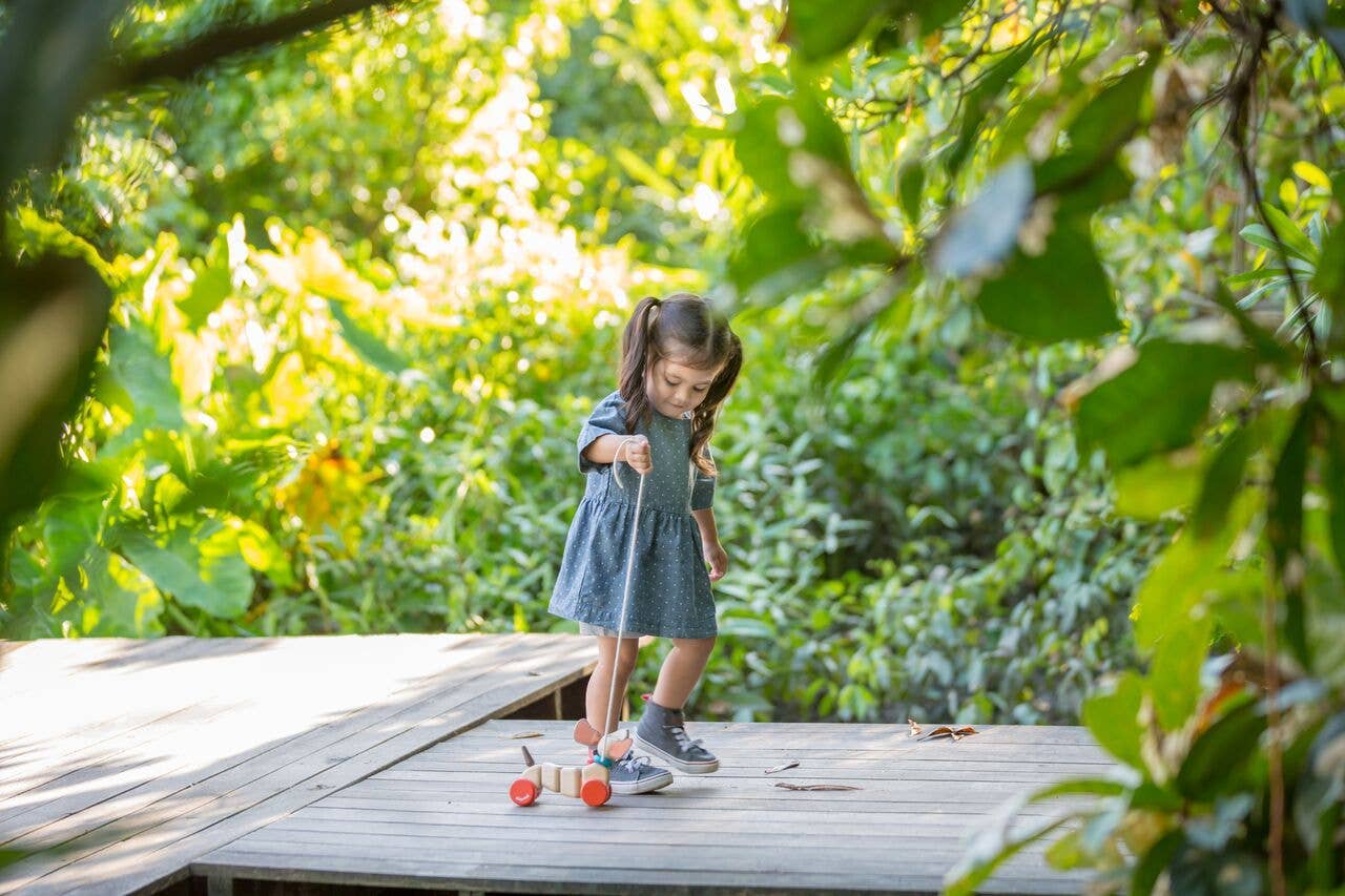 PlanToys - Wholesale Wood Toy - Kids - Happy Puppy1