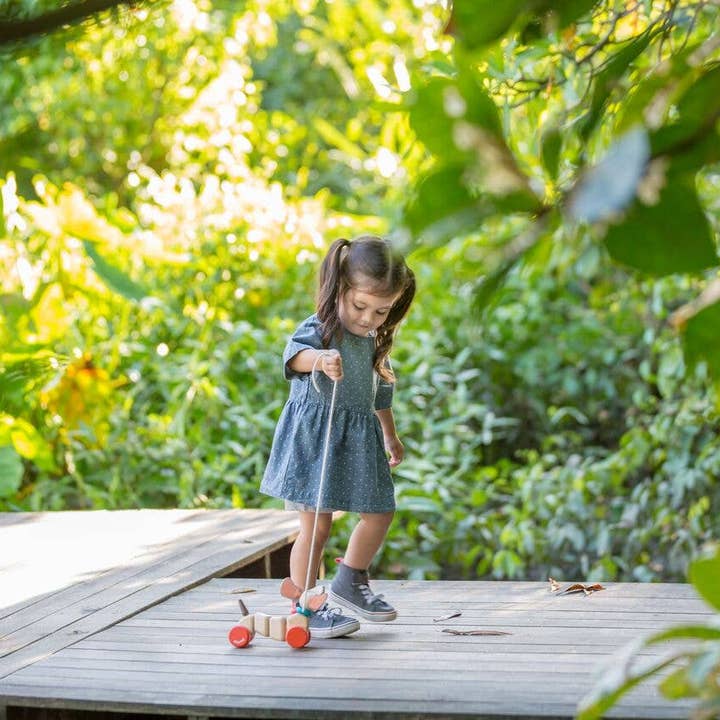 PlanToys - Wholesale Wood Toy - Kids - Happy Puppy1