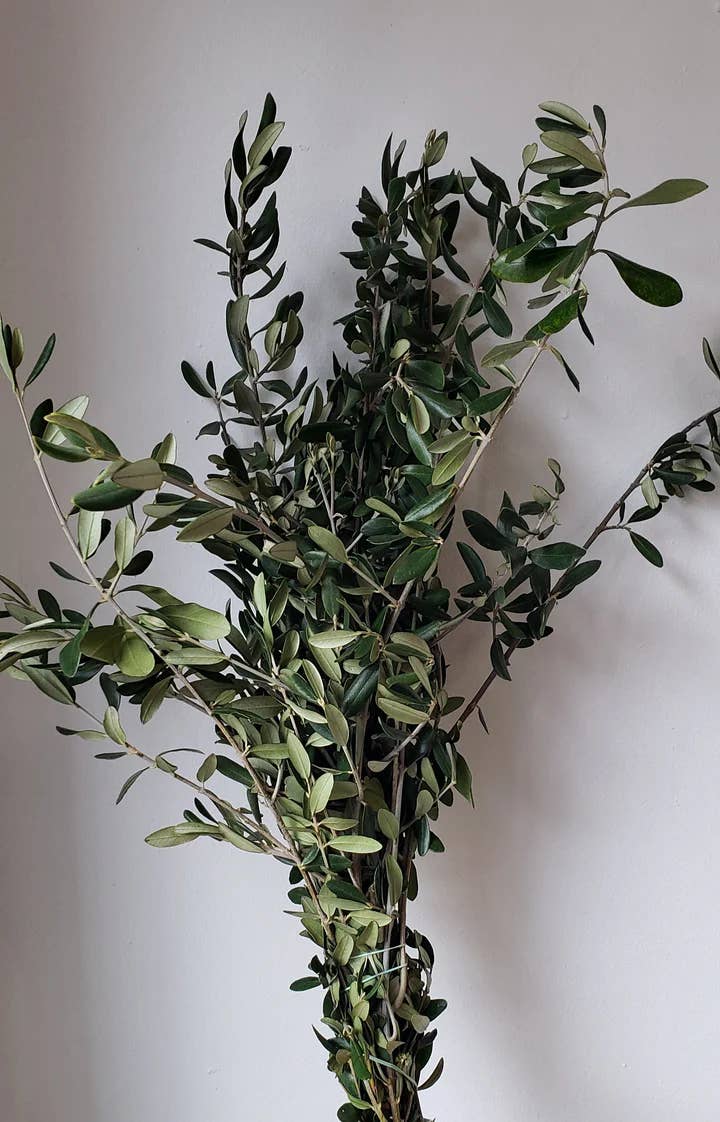 Violet Beach House - Wholesale Artificial Plant - Dry Olive Branches bunch
