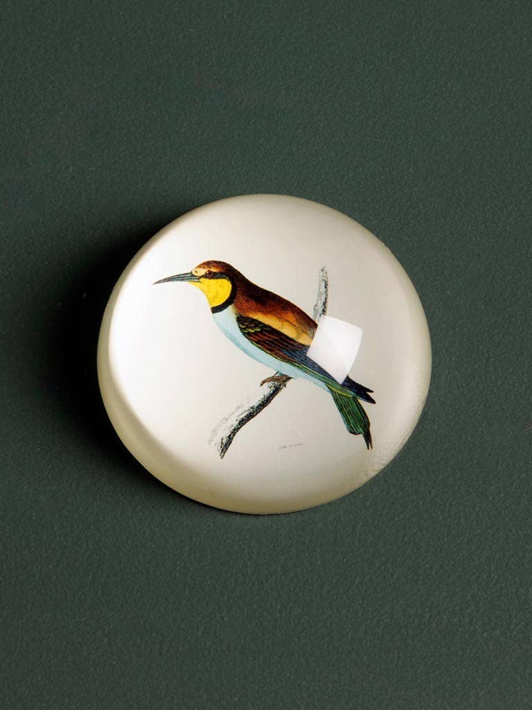 Chehoma USA - Wholesale Paper Weight - Presse papier Trinidad0