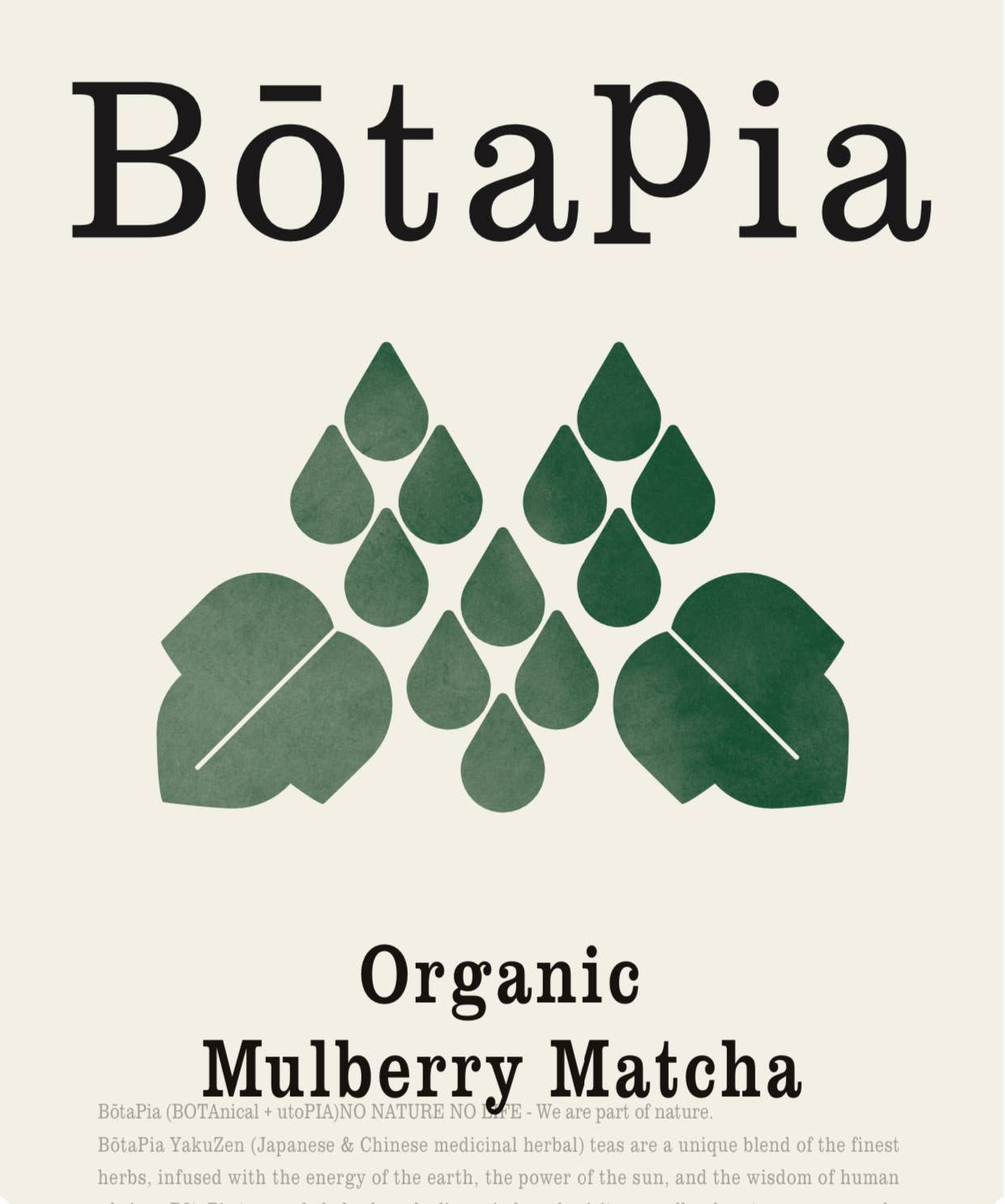 BotaPia - Wholesale Health/Detox Tea - CaffeineFree, 100% Organic Mulberry Matcha7