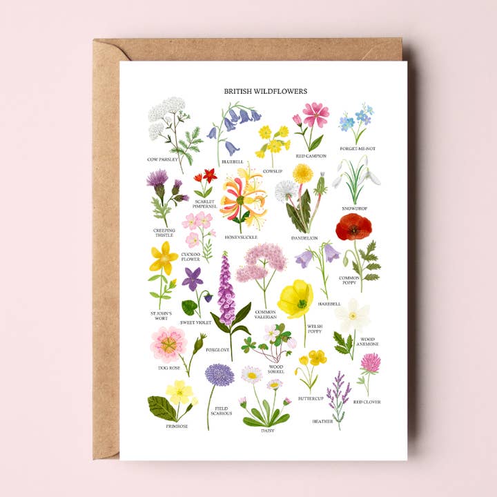 Sarah Frances - Wholesale Everyday Greeting Card - British Wildflowers Greetings Card