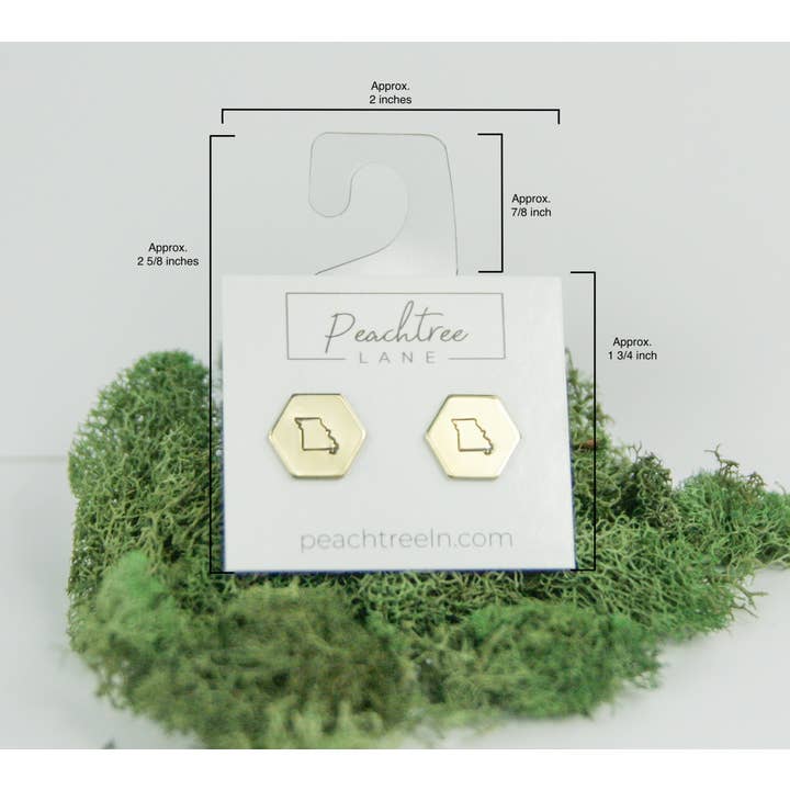 Peachtree Lane Co. - Wholesale Stud/Post Earrings - Arizona State Hand-Stamped Brass Hexagon Earrings1