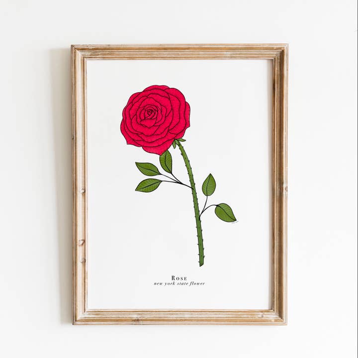New York State Blomstertryk | Rose blomsterprint for engroshandel hos Erika Layne Art