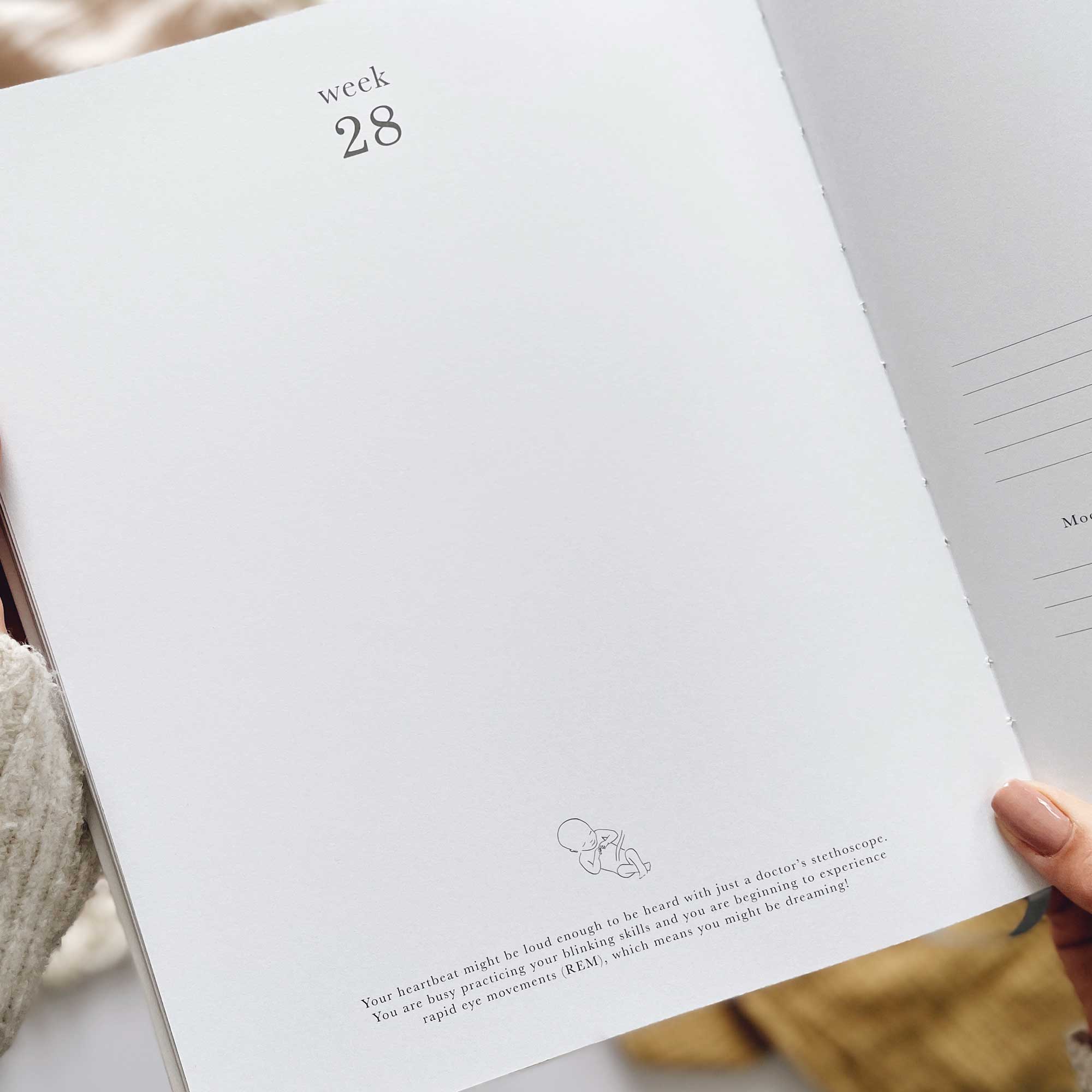 Blush And Gold - Wholesale Journal/Diary - Maternity - My Pregnancy Journal - Safari with Gilded Edges6