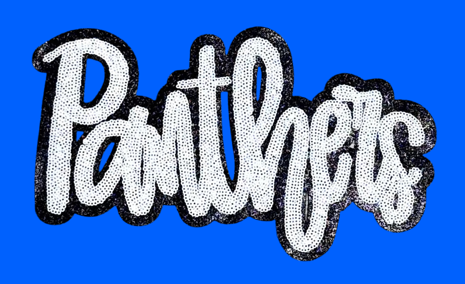 sequinandstiches - Wholesale Patch - Panthers  Patch, Sequin Patch, Football Patch, Panthers Game Day Sequin Patch,  DIY, Iron on Patch, Black glitter backing1