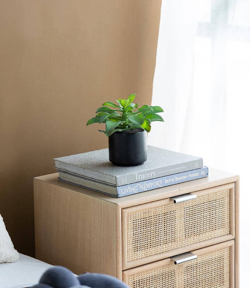 A&B Home Group Inc. – wholesale Artificial plant – Potted Succulent13