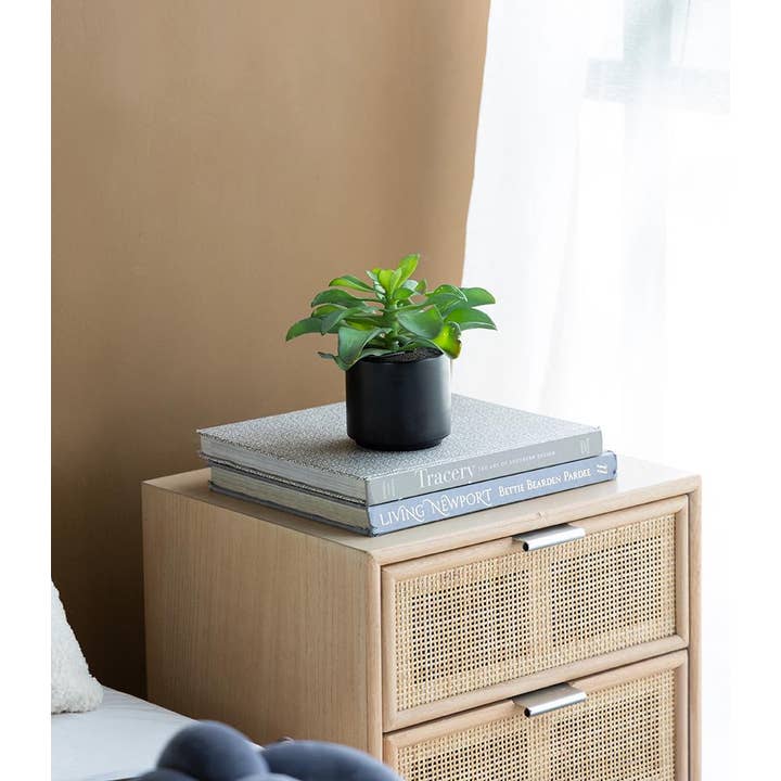 A&B Home Group Inc. – wholesale Artificial plant – Potted Succulent13