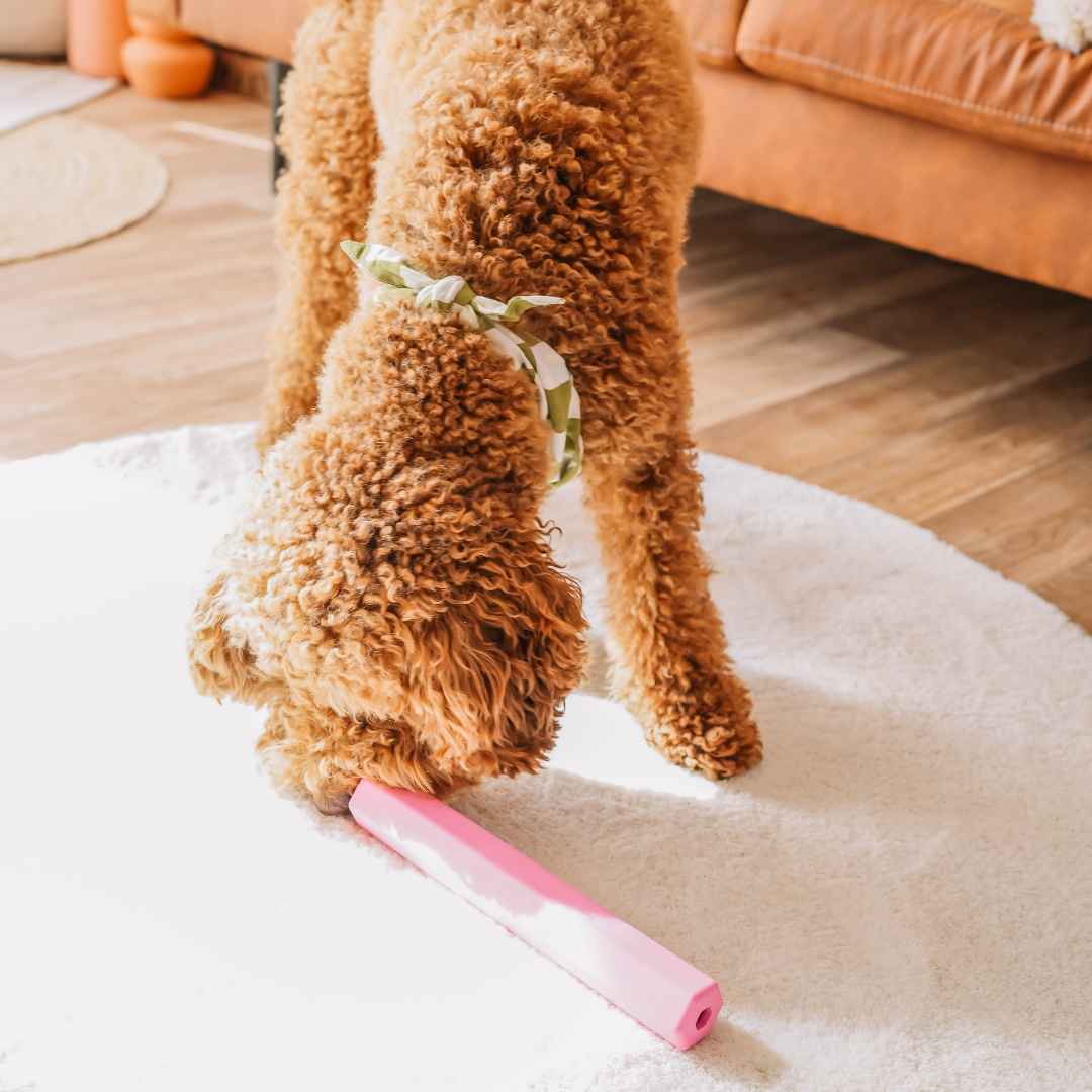 Babelle For Dogs - Wholesale Speeltje - Hond - The Treat Tube - interactief speeltje voor honden - roze3