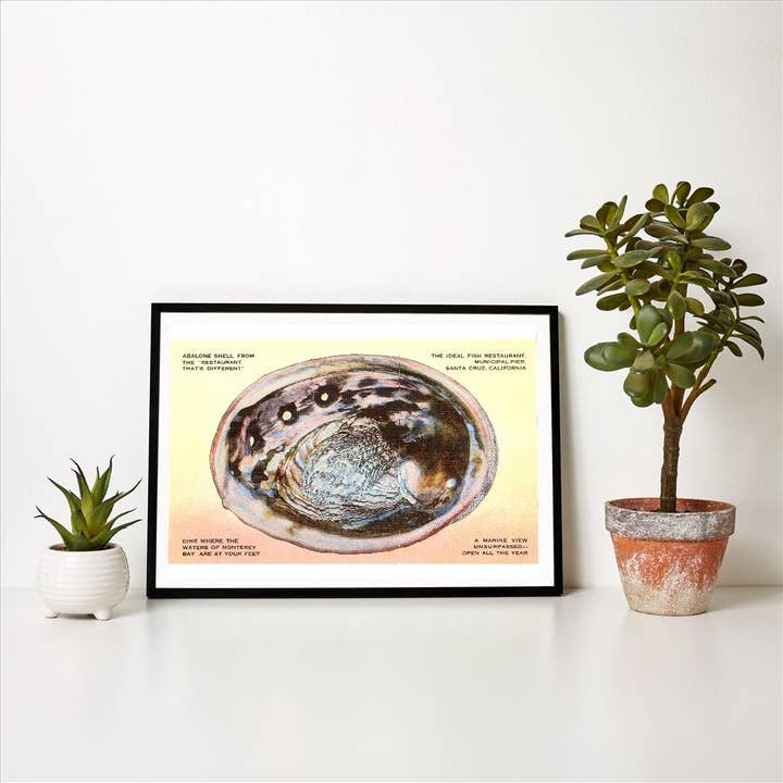 Found Image Press - Wholesale Art Print - Art Print CR-14 Abalone Shell1