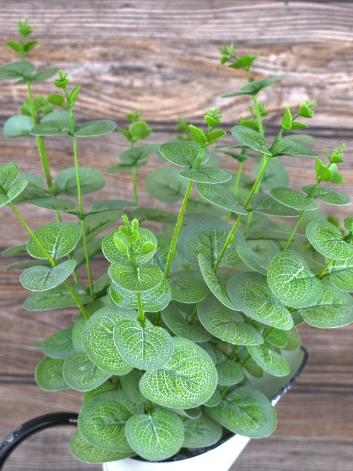 Eucalyptus Bundle for wholesale by Wholesale Home Decor