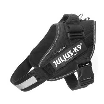 Julius K9 - Harnais pour chien - noir - taille 0 - 58-76 cm pour la vente par K9 Shop