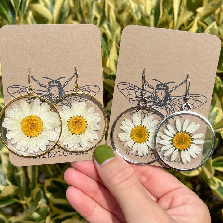 Real Daisy Earrings Pressed Flower Hoop Earrings for wholesale by Windy City Wildflowers