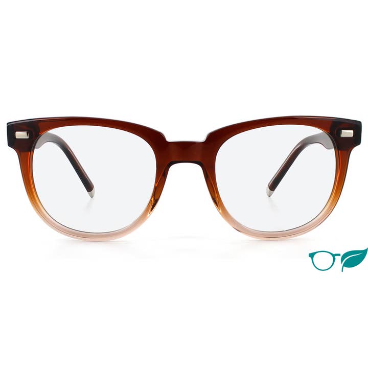 Hoy for wholesale by Iolla