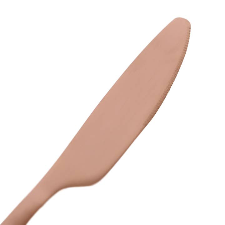 Rinkit Pty Ltd - Wholesale Table knife - Stainless Steel Dinner Knife - 21cm21