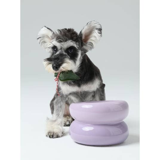 PEHOM - Wholesale Pet Bowl - Cat/Dog - Soufflé Pet Bowl - Purple
