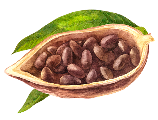 Lady Joseph - Vente Biscuits - Cookies au pistache et chocolat noir. Biscuit au pistache.6