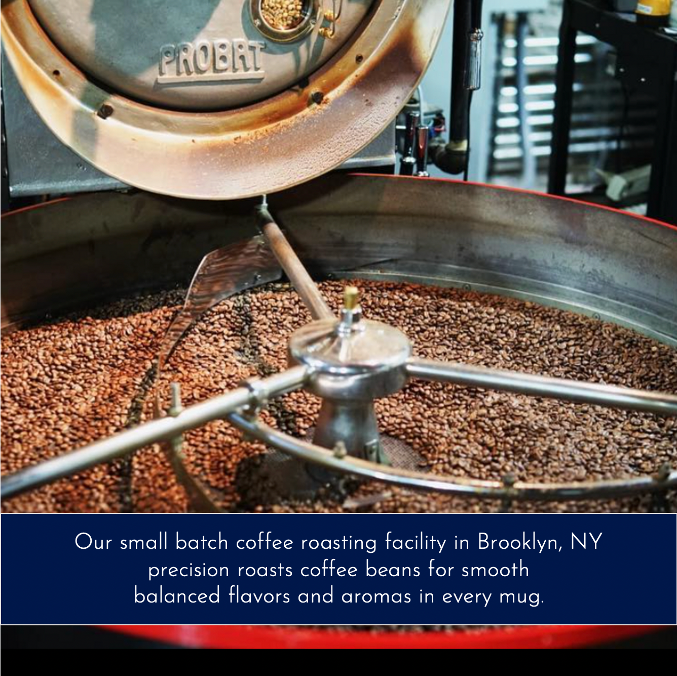 Nobletree Coffee - Wholesale Coffee Beans - Nobletree "Dromedaire" Light Medium Roast Coffee, 20oz5