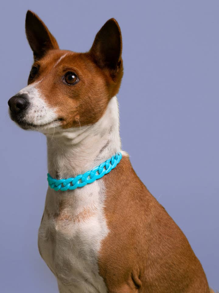 CHAINE GOURMETTE RESINE pour la vente par BAND OF HEARTBREAKERS