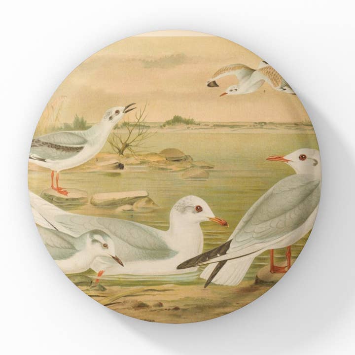 Mås-nål, Mås-nyckelring, Mås-magnet för wholesale av NatureCuts